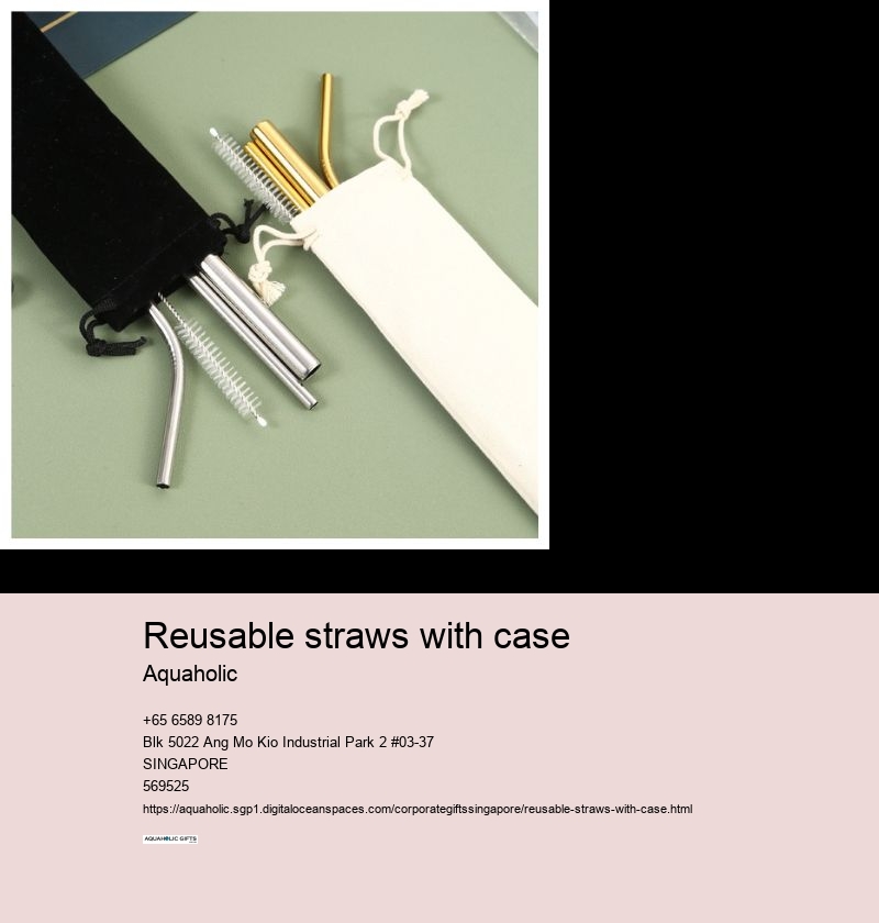 reusable straws with case